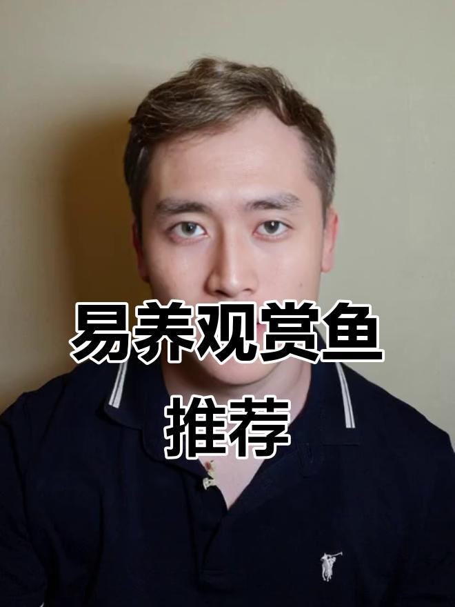 十大便宜好養的魚【十大便宜好養的觀賞魚，適合初學者的觀賞魚,皮實易養】