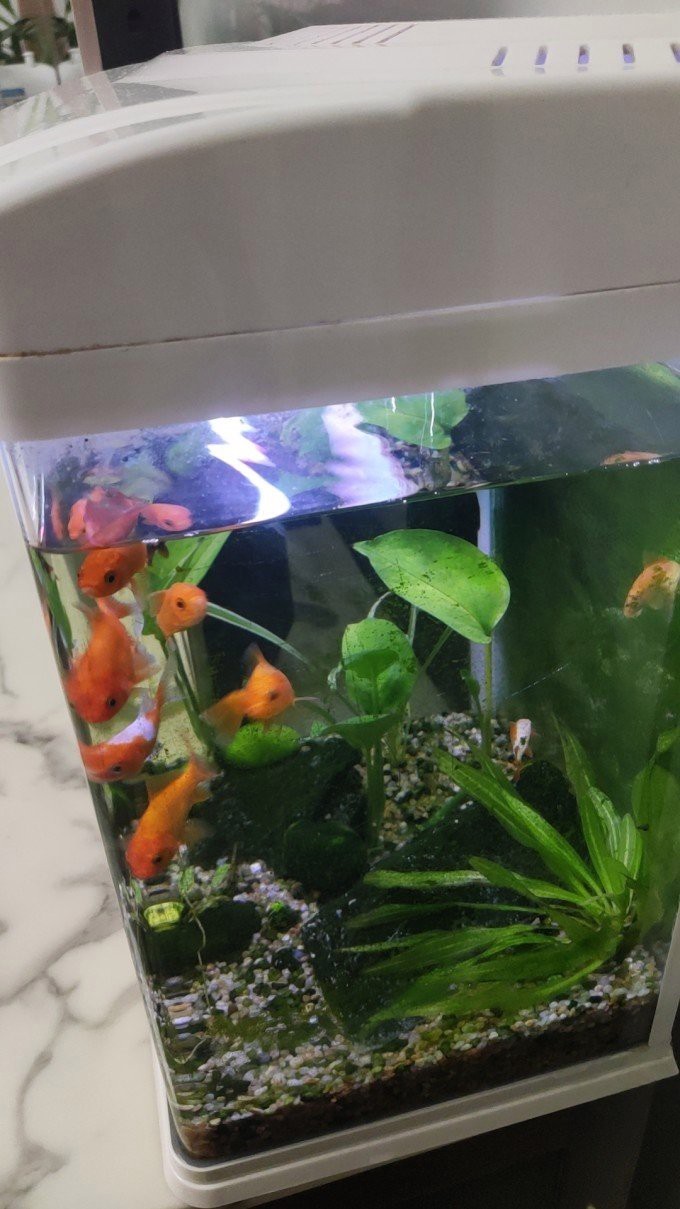 森森魚缸80cm大全【《森森魚缸80cm大全》森森魚缸80cm大全6500k正白森森魚缸】