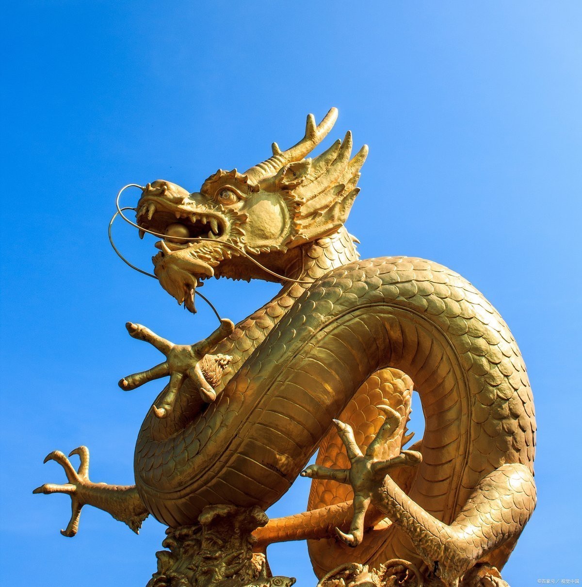 金龍壁畫有哪些寓意【金龍壁畫中的龍是什么樣子個人圖書館—祥瑞金龍壁紙分享】 金龍壁畫有哪些寓意【金龍壁畫中的龍是什么樣子個人圖書館—祥瑞金龍壁紙分享】 龍魚百科 第2張