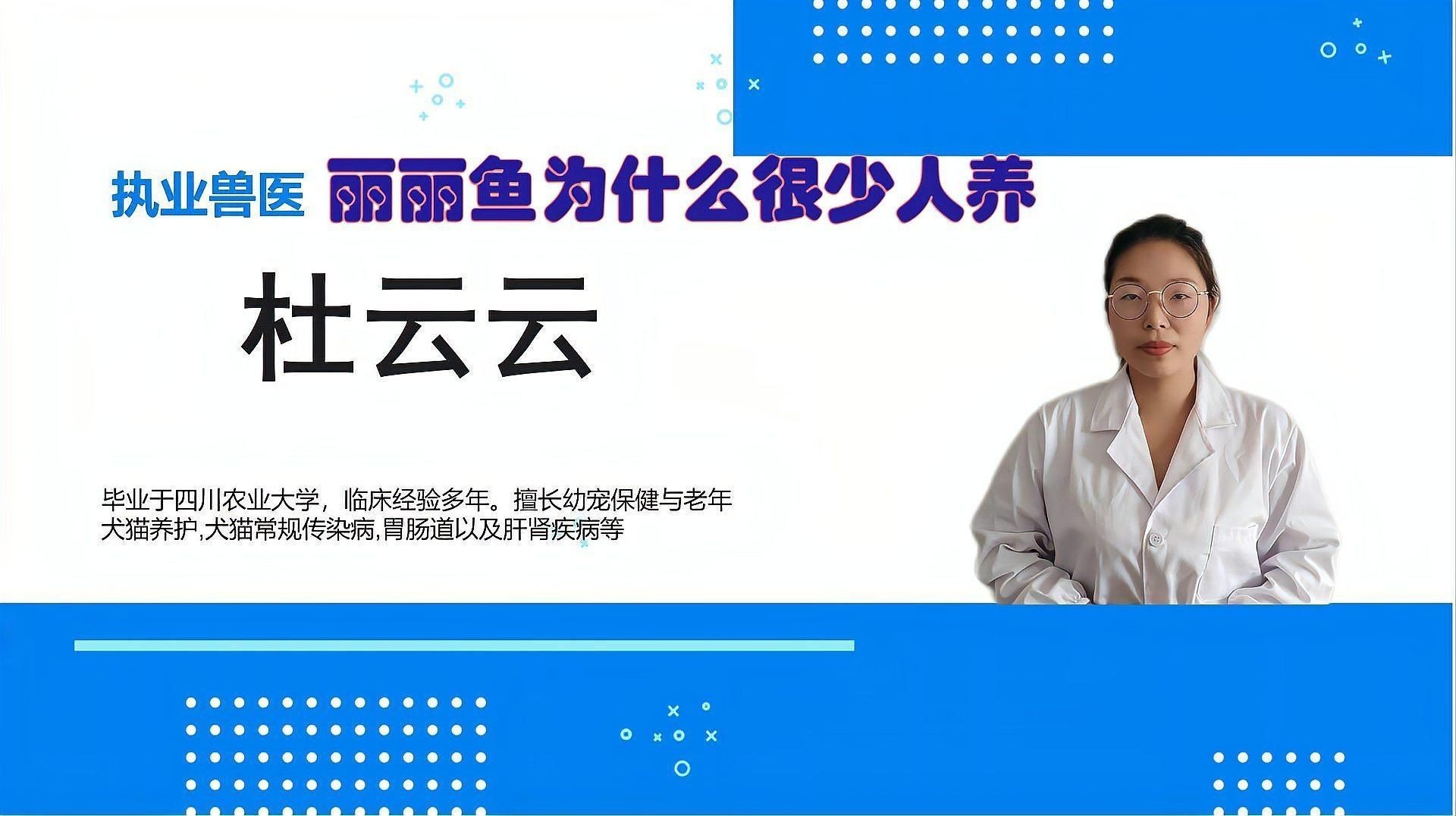 麗麗魚為什么很少人養【《麗麗魚為什么很少人養》麗麗魚為什么很少人養萌寵風向標】