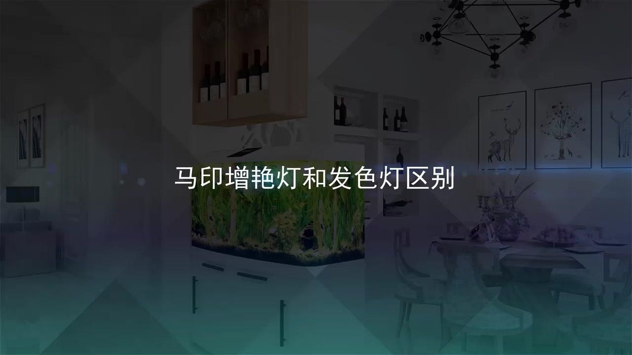 龍魚發色燈和增艷燈什么區別【龍魚發色燈與增艷燈的區別】