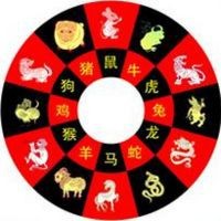 龍魚和錦鯉哪個風水好【東南亞文化中龍魚和錦鯉的風水寓意】