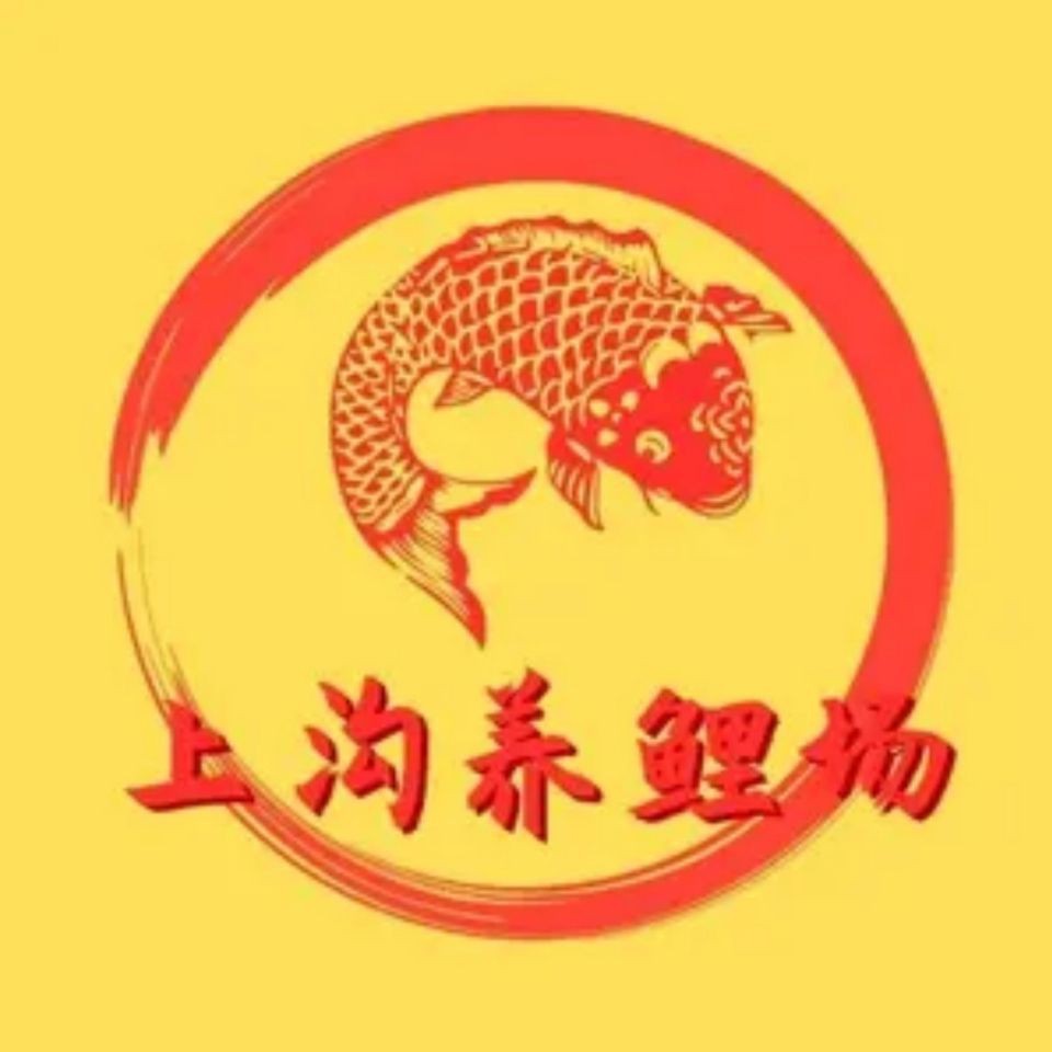 錦鯉大正退墨了最怕三個東西【錦鯉大正三色退墨的三大關鍵因素及應對策略】
