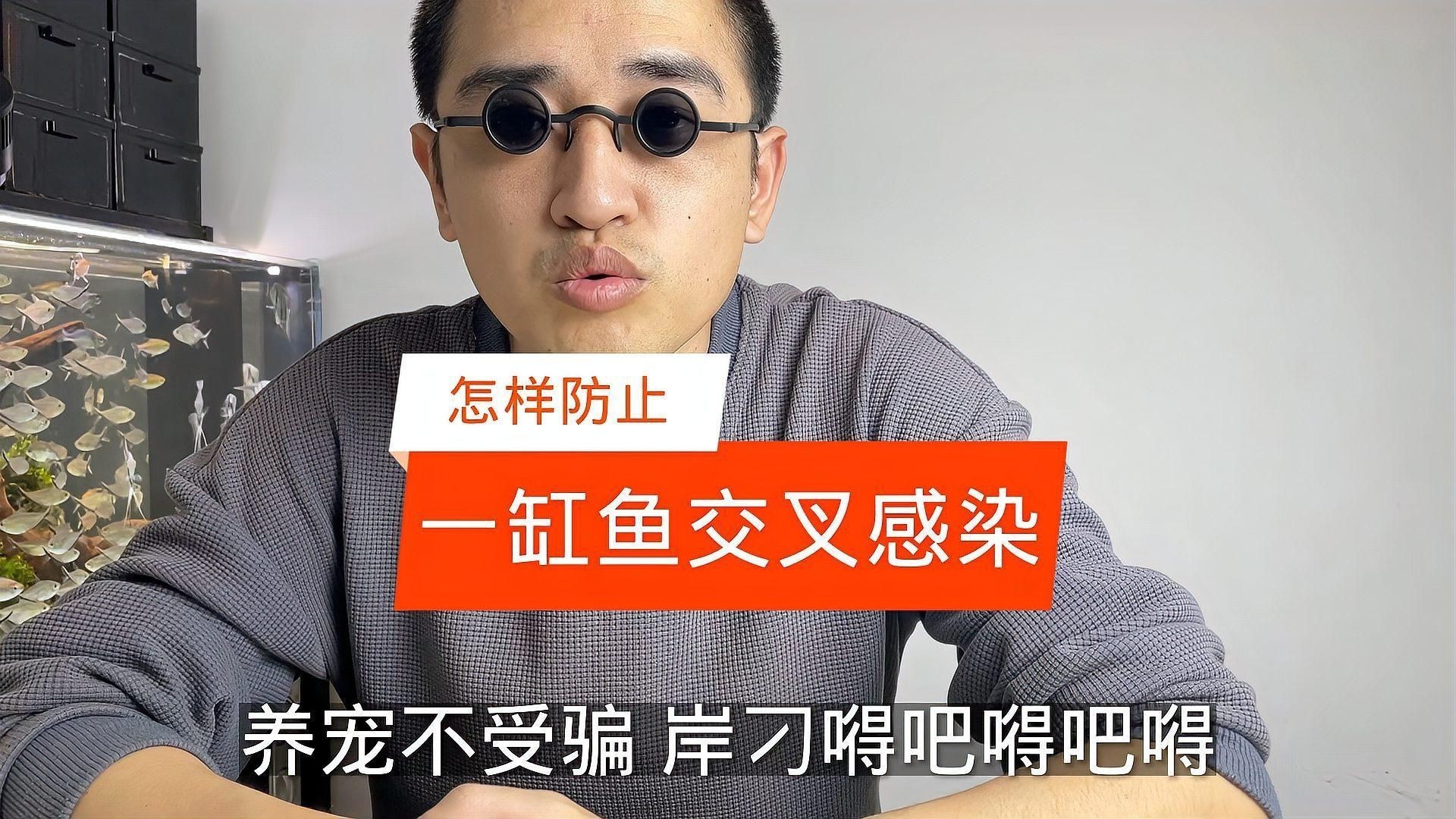 如何預(yù)防合缸交叉感染？【合缸交叉感染是水族養(yǎng)殖中常見且棘手的問題預(yù)防至關(guān)重要】