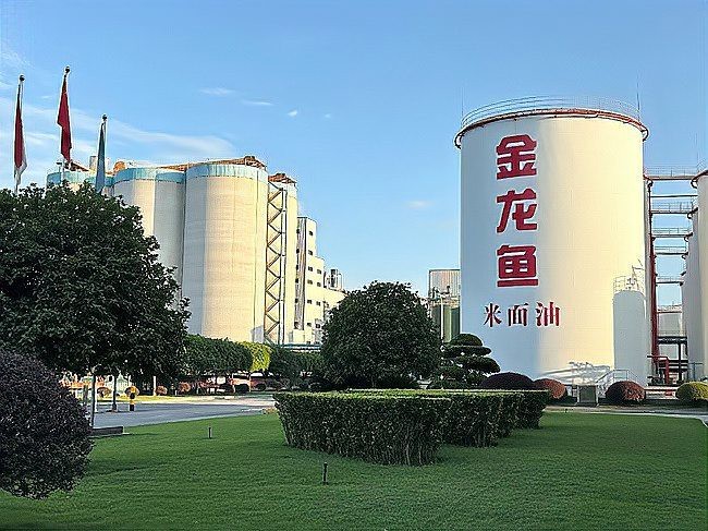 金龍魚2025年整體銷量預計如何？【金龍魚2025年市場份額預計是多少？】