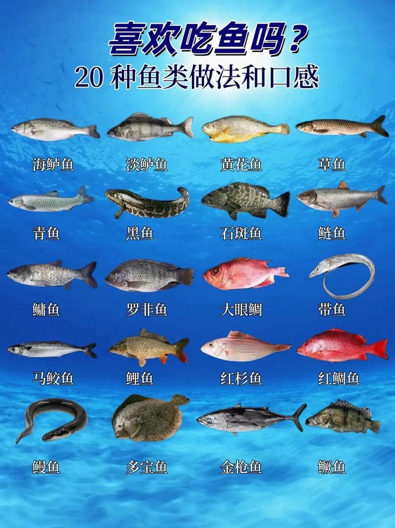 各種魚圖片大全【20種常見海魚大盤點，你最愛哪一種麥田守望年虞沐】
