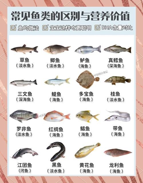 各種魚圖片大全【20種常見海魚大盤點，你最愛哪一種麥田守望年虞沐】