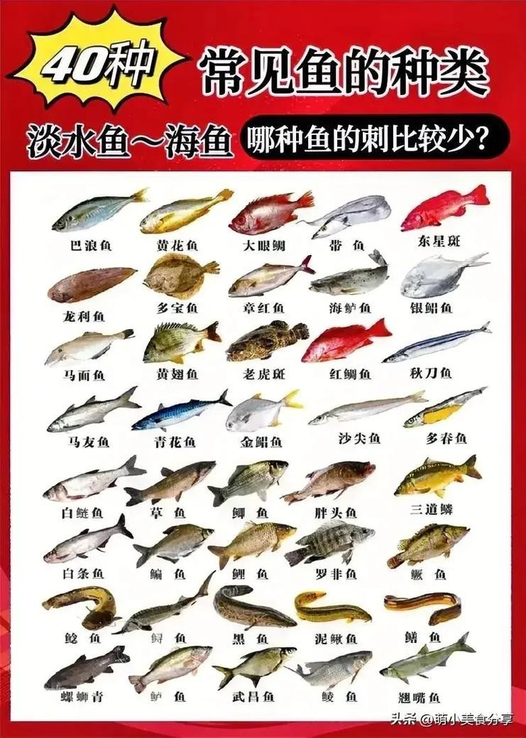 各種魚圖片大全【20種常見海魚大盤點，你最愛哪一種麥田守望年虞沐】