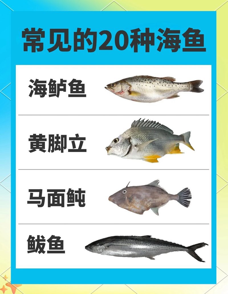 各種魚圖片大全【20種常見海魚大盤點，你最愛哪一種麥田守望年虞沐】