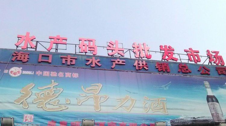 龍魚批發一條街【廣州龍魚批發市場在哪里】