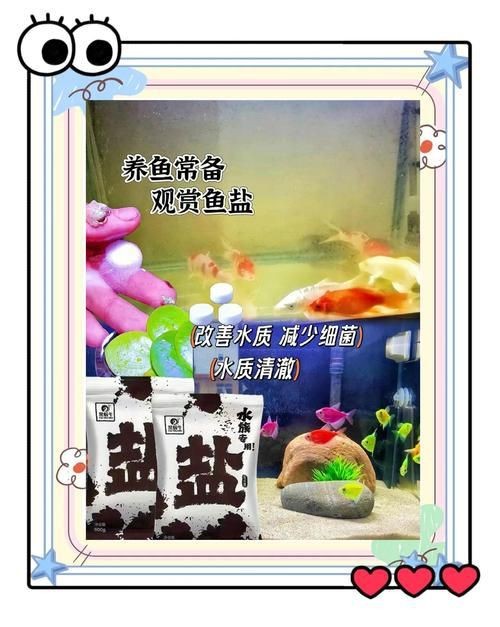 馬印水族魚鹽最忌三種食物一覽表圖片【馬印水族魚鹽使用需注意的三種禁忌食物不宜喂食】