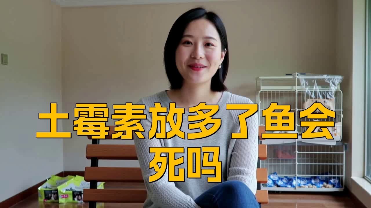 土霉素對龍魚有害嗎？【土霉素可以一直泡著魚嗎土霉素可以一直泡著魚嗎】