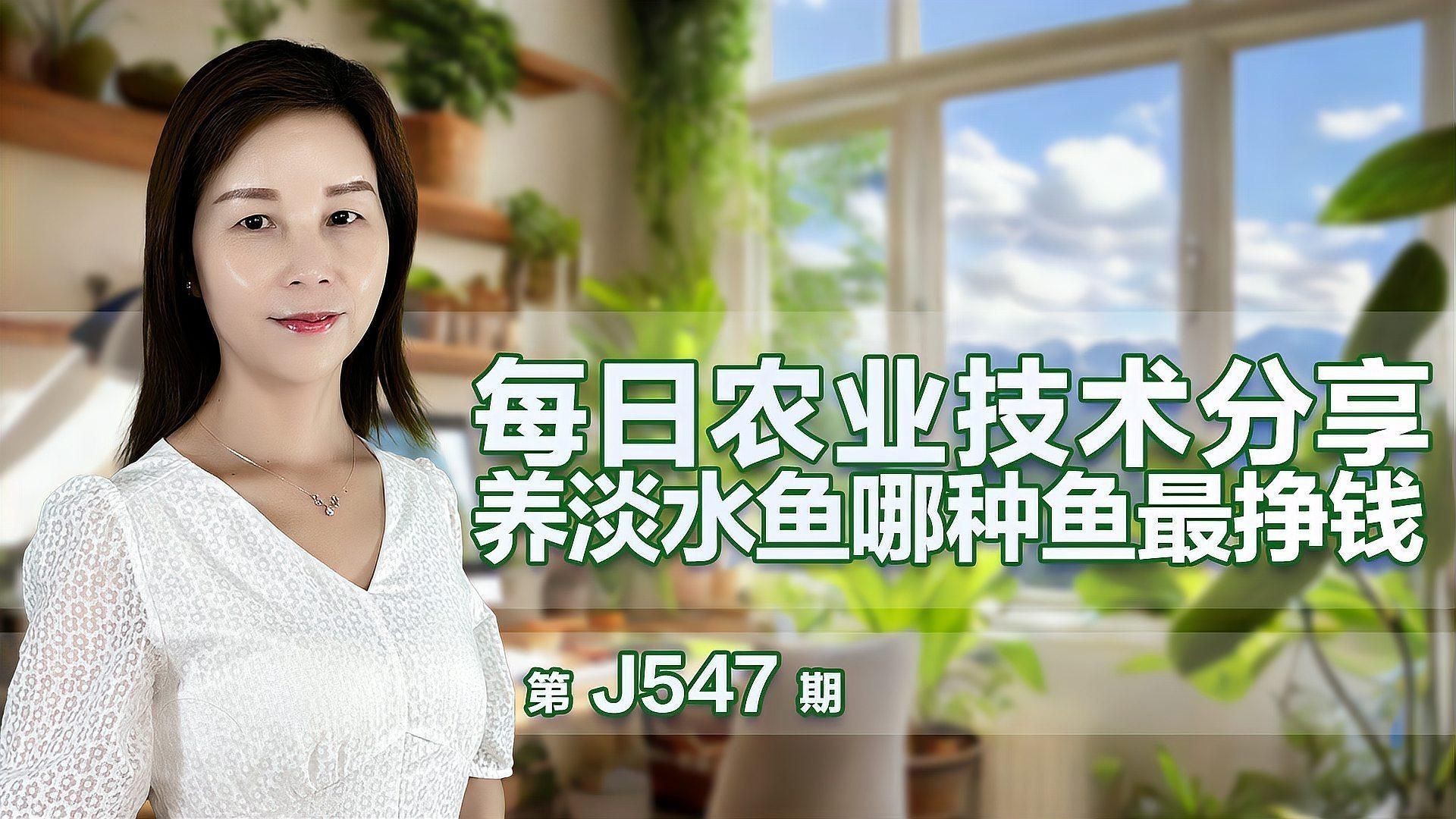 能詳細介紹幾個高利潤淡水魚品種嗎?【養淡水魚哪種魚最掙錢】 龍魚百科 第1張 能詳細介紹幾個高利潤淡水魚品種嗎?【養淡水魚哪種魚最掙錢】 能詳細介紹幾個高利潤淡水魚品種嗎?【養淡水魚哪種魚最掙錢】 龍魚百科 第1張