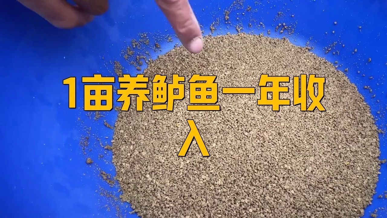 能詳細介紹幾個高利潤淡水魚品種嗎?【養淡水魚哪種魚最掙錢】 龍魚百科 第3張 能詳細介紹幾個高利潤淡水魚品種嗎?【養淡水魚哪種魚最掙錢】 能詳細介紹幾個高利潤淡水魚品種嗎?【養淡水魚哪種魚最掙錢】 龍魚百科 第3張