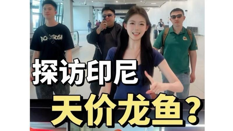 印尼紅龍漁場中哪家性價比最高？【探尋印尼紅龍漁場哪家性價比最高】