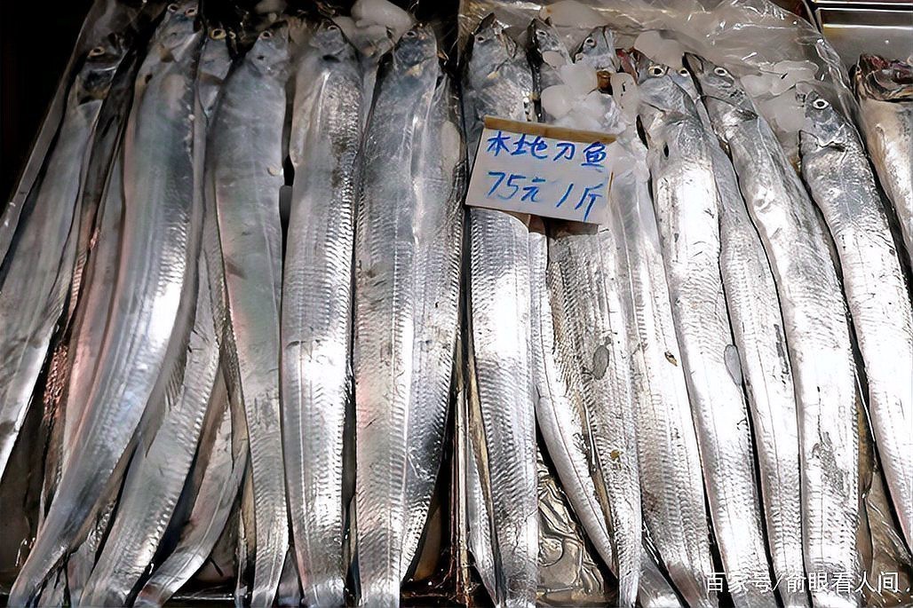 青島鰻鱗魚多少錢一斤【2025年8月青島鰻鱗魚市場價格波動幅度可達13元】