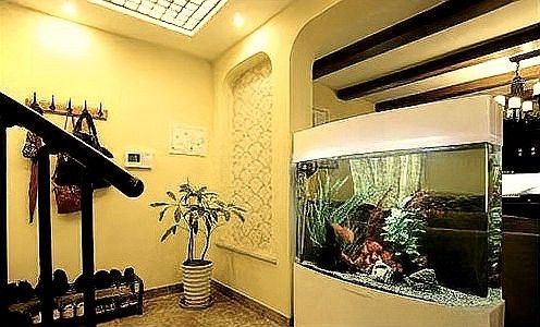 5條魚最旺什么人【5條魚的寓意是什么意思】
