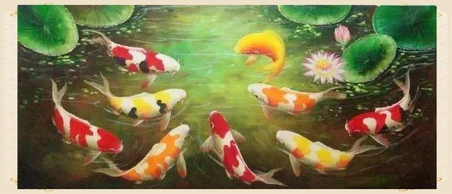 5條魚最旺什么人【5條魚的寓意是什么意思】