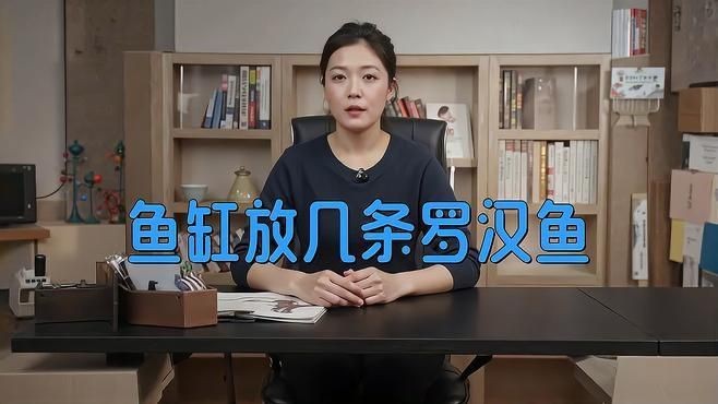 羅漢魚一般養(yǎng)幾條為好