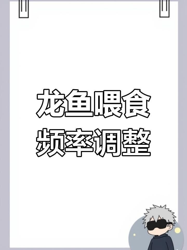 金龍魚多久喂一次食【金龍魚的喂食頻率】 龍魚百科 第5張 金龍魚多久喂一次食【金龍魚的喂食頻率】 金龍魚多久喂一次食【金龍魚的喂食頻率】 龍魚百科 第5張