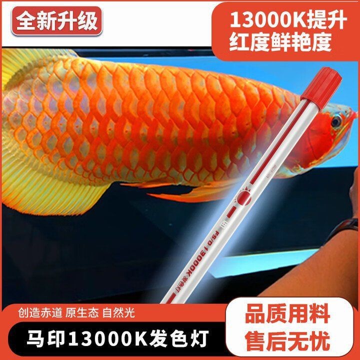 馬印牌是哪國品牌【廣東馬印國際貿易有限公司】