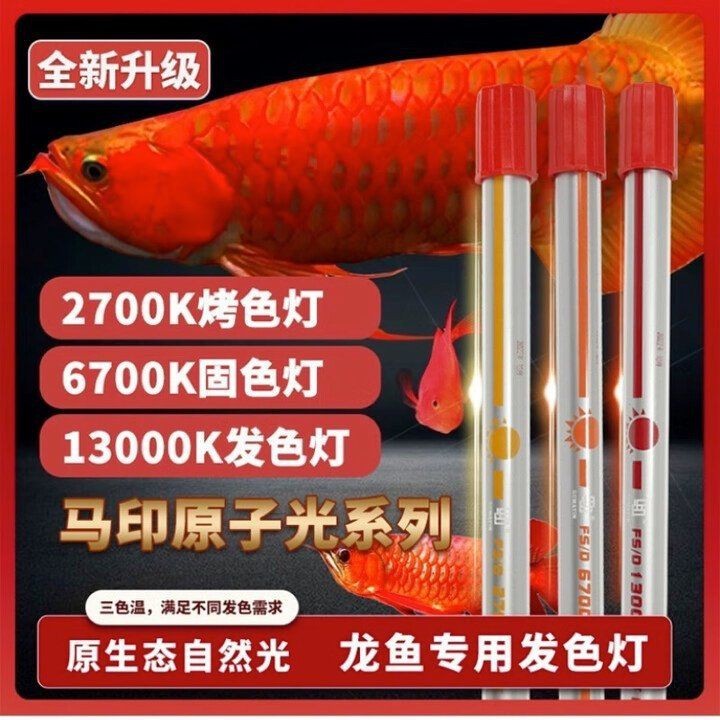 馬印牌是哪國品牌【廣東馬印國際貿易有限公司】