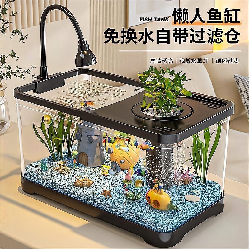 水族魚缸哪個品牌最好【《水族魚缸品牌之選：探尋最優(yōu)品牌》】