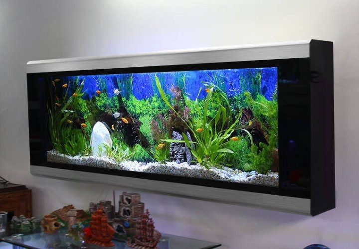 水族魚缸哪個品牌最好【《水族魚缸品牌之選：探尋最優品牌》】