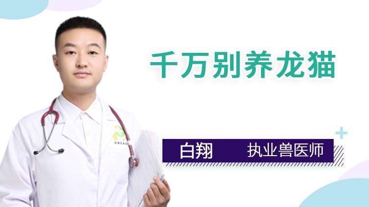 龍貓為什么不建議養【《龍貓不建議養的原因》】