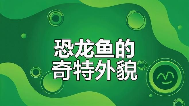 虎紋恐龍王魚最建議買嗎【世界上長得最像龍的觀賞魚——虎紋恐龍王魚】 虎紋恐龍王魚最建議買嗎【世界上長得最像龍的觀賞魚——虎紋恐龍王魚】 龍魚論壇 第7張