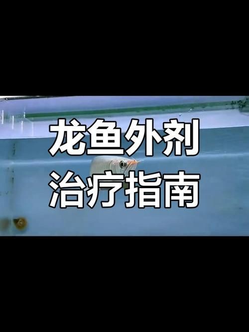 提供更多龍魚外寄癥狀圖【關于龍魚外寄癥狀的詳細解析】