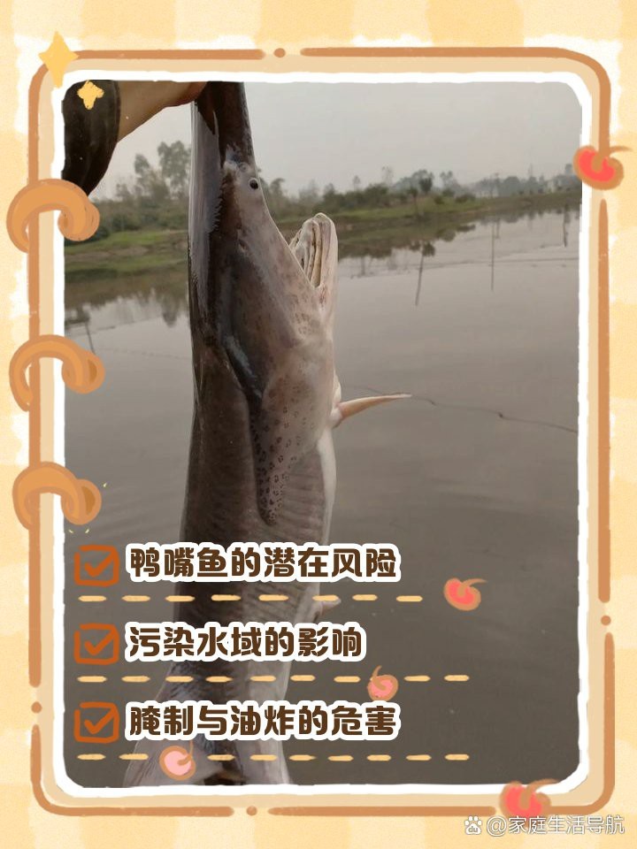 淡水魚和鴨嘴魚有毒嗎【淡水魚和鴨嘴魚有毒嗎？】