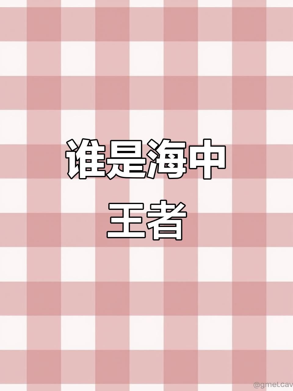 虎鯊和大白鯊的區別【全民小視頻，00:56虎鯊外表可愛，實則兇猛，攻擊人類次數驚人】