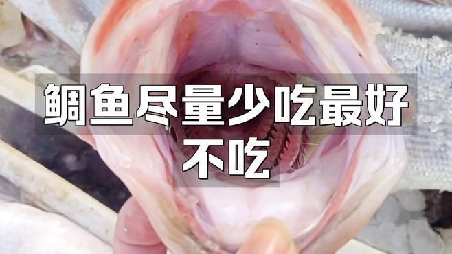 馬鯛魚為何要少吃【馬鮫魚為何盡量少吃】