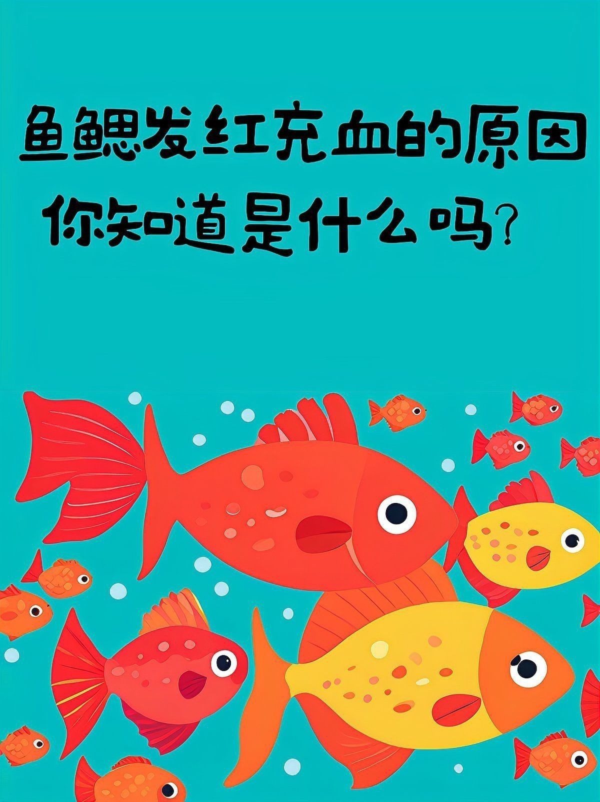 龍魚充血是怎么回事【龍魚充血可能導致龍魚充血是由多種原因引起的原因】