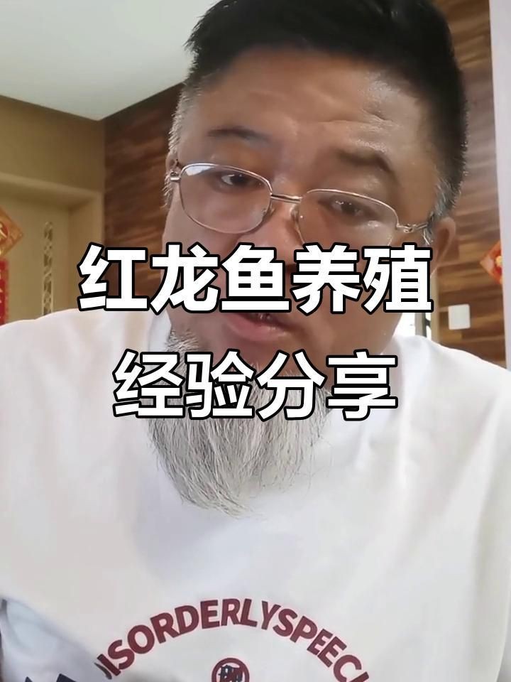 紅龍魚市場行情【《紅龍魚市場行情》】