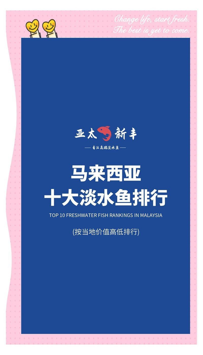 馬來西亞十大淡水魚之首【馬來西亞十大最貴淡水魚之首忘不了魚’jane】