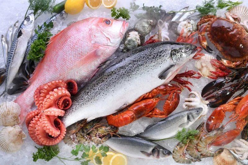 金菠蘿魚為何禁吃【金菠蘿魚為什么被禁吃？】