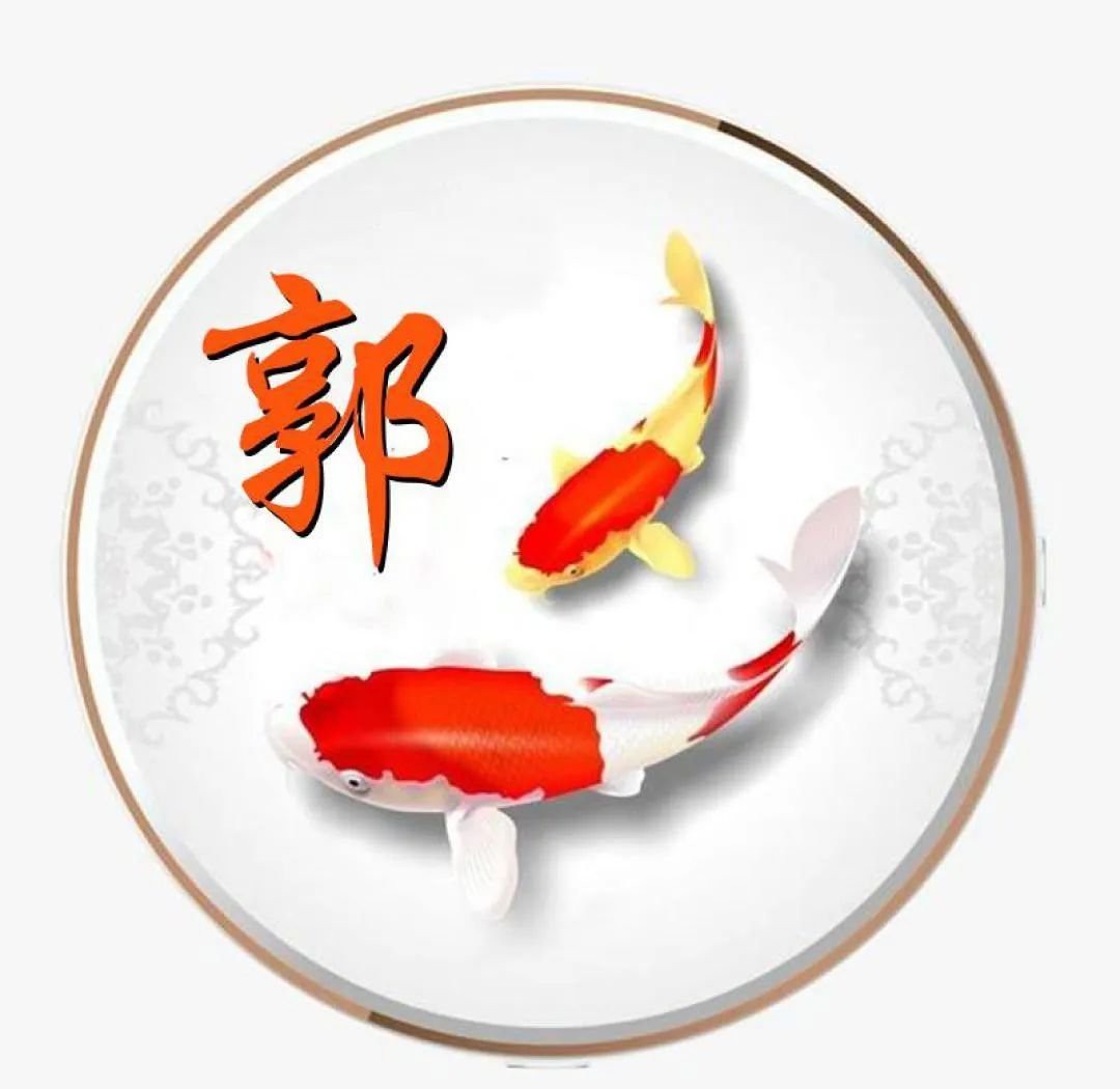 紅白錦鯉的寓意和象征【揭秘紅白錦鯉的五大吉祥象征意義與風水信仰探究大魔王一博】