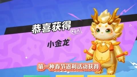 金龍限定皮膚有哪些獲取途徑？【《英雄聯(lián)盟》金龍限定皮膚怎么獲得】