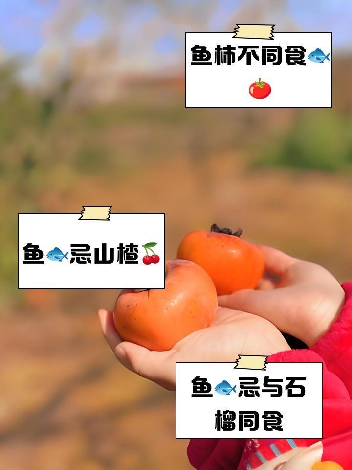 賽級龍魚最忌諱三種水果【《賽級龍魚最忌諱三種水果》】