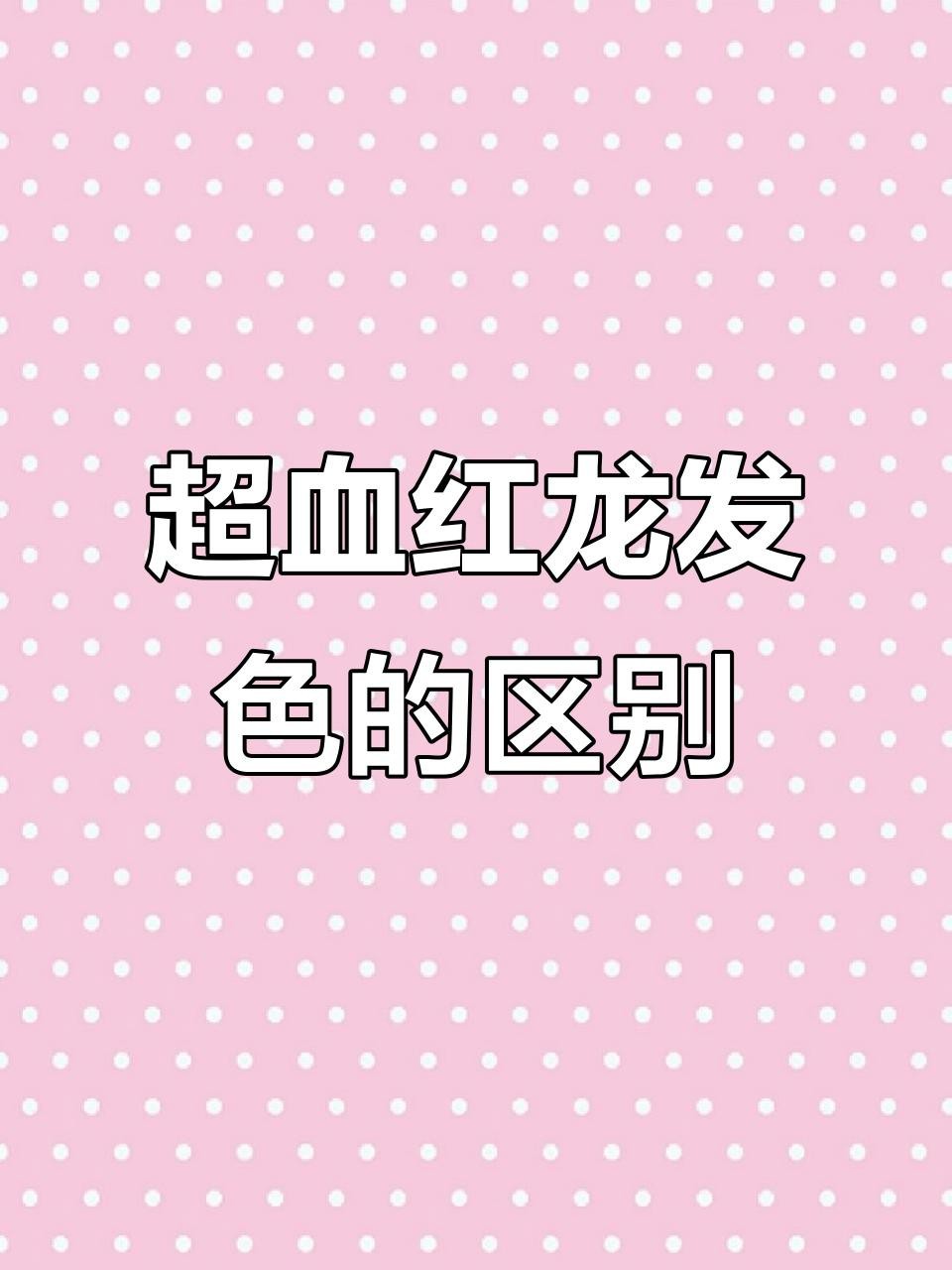 紅龍超血的產地在哪里？【印尼紅龍哪個品種最好】