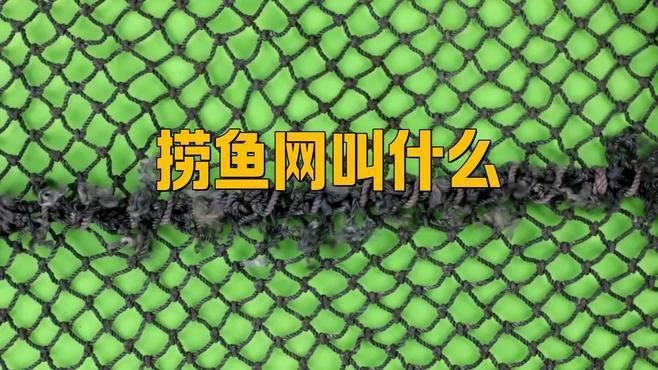 撈魚的網(wǎng)兜叫什么【撈魚的網(wǎng)兜叫什么思想之翼】