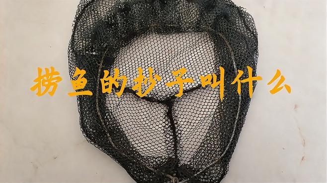 撈魚的網(wǎng)兜叫什么【撈魚的網(wǎng)兜叫什么思想之翼】