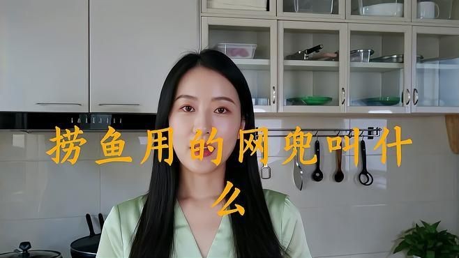 撈魚的網(wǎng)兜叫什么【撈魚的網(wǎng)兜叫什么思想之翼】