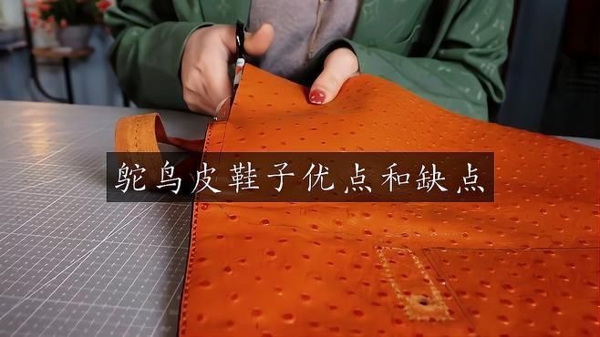 龍魚皮鞋和鴕鳥皮鞋哪個好【鴕鳥皮鞋和龍魚皮鞋哪個好】