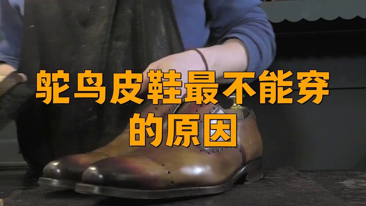 龍魚皮鞋和鴕鳥皮鞋哪個好【鴕鳥皮鞋和龍魚皮鞋哪個好】