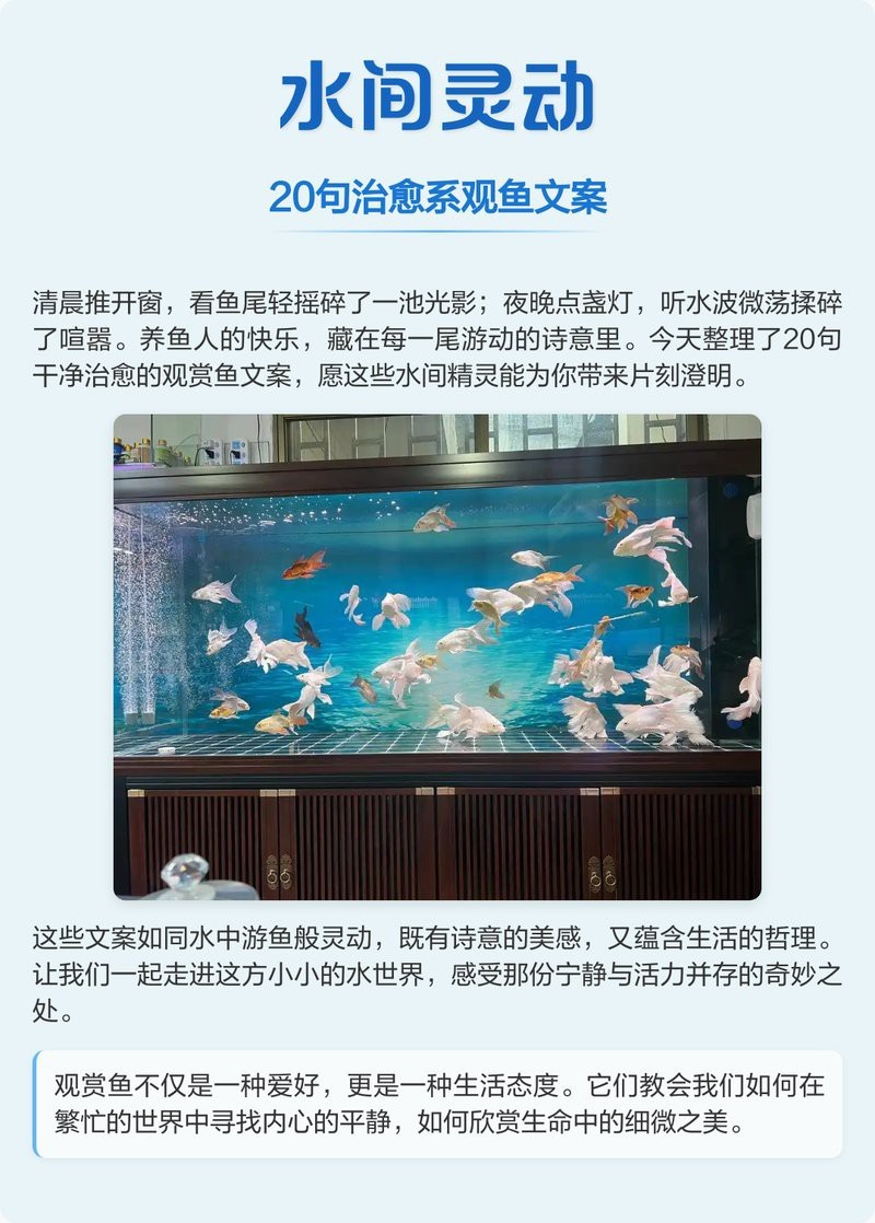 魚壁紙【\