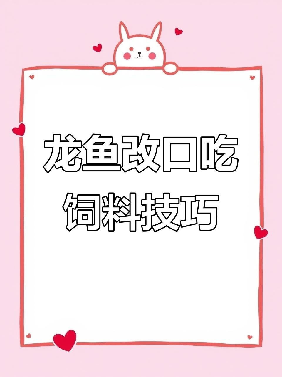 龍魚改口期間需要多久喂一次？【如何讓龍魚改口吃人工飼料這些技巧幫你搞定全民小視頻】