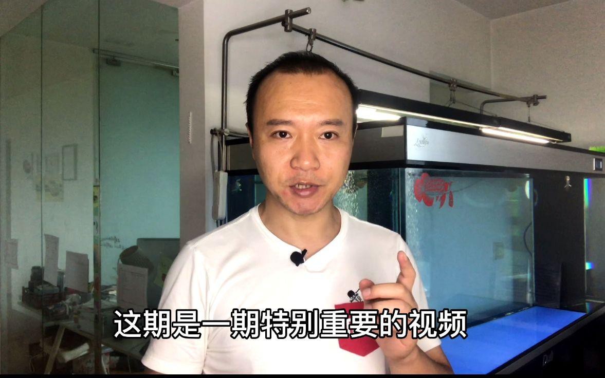 龍魚改口期間需要多久喂一次？【如何讓龍魚改口吃人工飼料這些技巧幫你搞定全民小視頻】